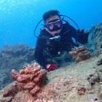 Mr.naruの旅行プロフィール
