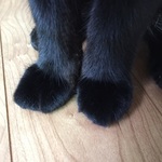 Natsの旅行プロフィール