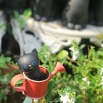 Liancatの旅行プロフィール