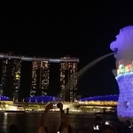 riko shibanumaの旅行プロフィール