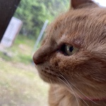勝股俊光の旅行プロフィール