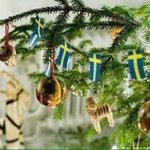 y0uxu0yの旅行プロフィール