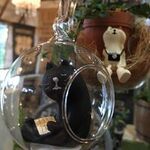 濱松 未来の旅行プロフィール