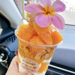 k.kの旅行プロフィール