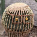 はるなの旅行プロフィール