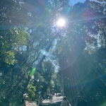 3661の旅行プロフィール