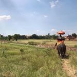 Kohei Furukawaの旅行プロフィール