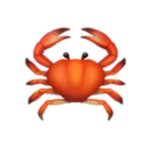 すべりだいの旅行プロフィール