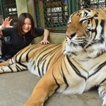 YUKKOの旅行プロフィール