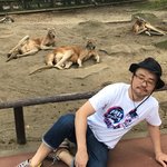 1013c_n_gの旅行プロフィール