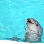 米田 大介の旅行プロフィール