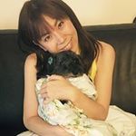 泉 敦子の旅行プロフィール