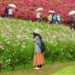 yukikの旅行プロフィール
