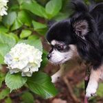 Satomi  Moriの旅行プロフィール