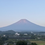 Amyの旅行プロフィール