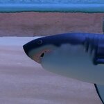 a9040423の旅行プロフィール