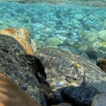 lwm2bの旅行プロフィール