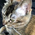 Yohei Takedaの旅行プロフィール