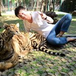 tam4x3の旅行プロフィール