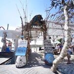 清水 洋志の旅行プロフィール