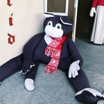 megの旅行プロフィール