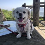 吉永晃の旅行プロフィール