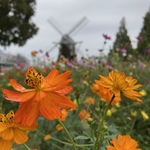 ぽちの旅行プロフィール