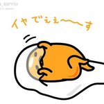 モッチャレの旅行プロフィール
