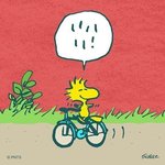 piri88amatofuの旅行プロフィール