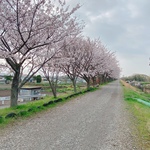 なおひの旅行プロフィール