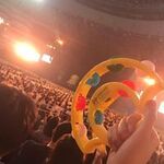 いの まいの旅行プロフィール