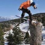 星野 保の旅行プロフィール