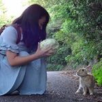 高橋 杏奈の旅行プロフィール