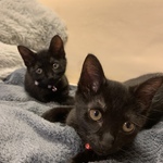 増田　悠の旅行プロフィール