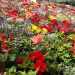 kikky720の旅行プロフィール