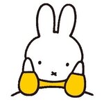 0829_ayakaの旅行プロフィール