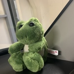 romiの旅行プロフィール