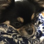 yoshiki5312の旅行プロフィール