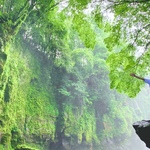 わむーの旅行プロフィール