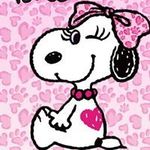 Aya Hiraokaの旅行プロフィール