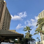 よんの旅行プロフィール