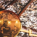 りんの旅行プロフィール