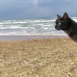 くろねこ旅チャンネルの旅行プロフィール
