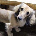 Naoko  Kobayashiの旅行プロフィール