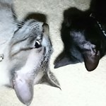 miiの旅行プロフィール