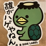 すぎのりの旅行プロフィール