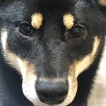 コニーの旅行プロフィール