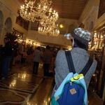 Yuki Hoshinoの旅行プロフィール