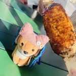 ごんの旅行プロフィール