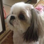 ララ子の旅行プロフィール